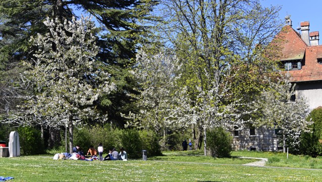 Parc Chuit