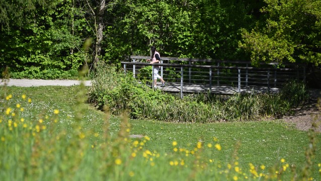 Parc Alphonse-Bernasconi