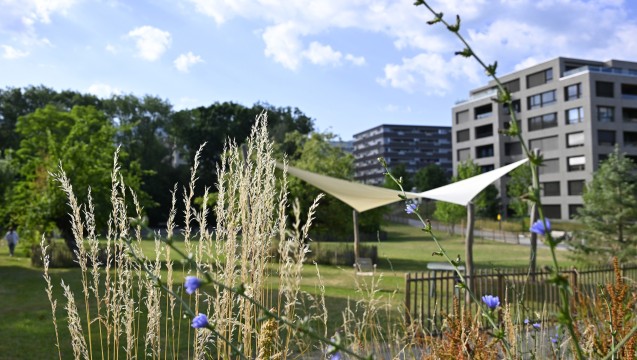 Parc de la Chapelle